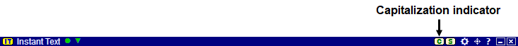 Capitalization Indicator Description